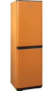 Бирюса T340NF фото