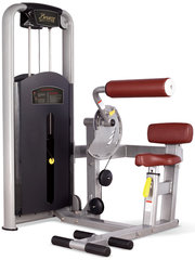 Bronze Gym MV-010 фото