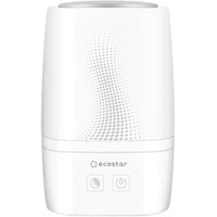 EcoStar Enjoy ESH-EN250/2.0E-WT