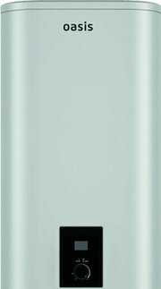 Oasis 100G фото