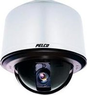 Pelco SD423-PG-E0-X фото