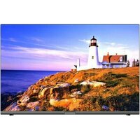 Витязь 24LH1204